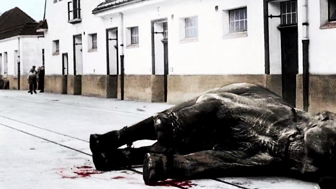 凡尔登战役启示录 Apocalypse Verdun