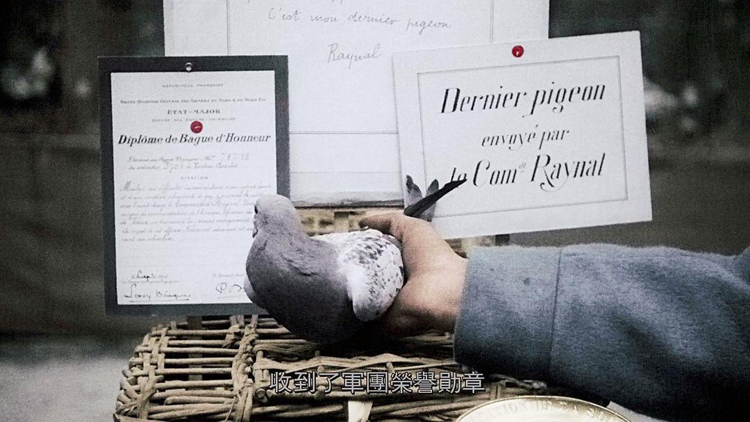 凡尔登战役启示录 Apocalypse Verdun