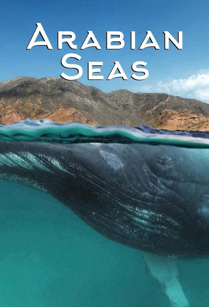 阿拉伯海 第一季 Arabian Seas Season 1