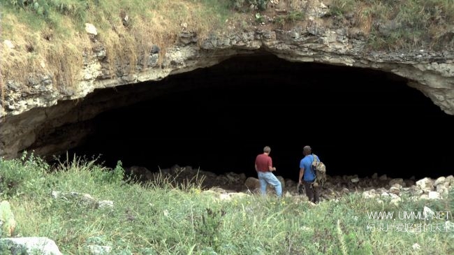 荒野远征:美国吸血蝙蝠 America The Wild: American Vampire