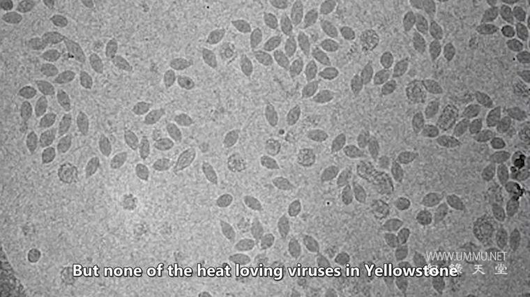 古代黄石公园 第一季全3集 Ancient Yellowstone