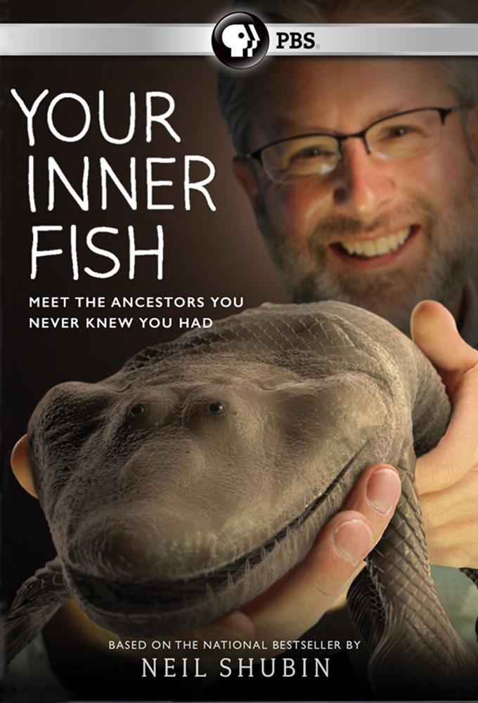 你体内的鱼 Your Inner Fish
