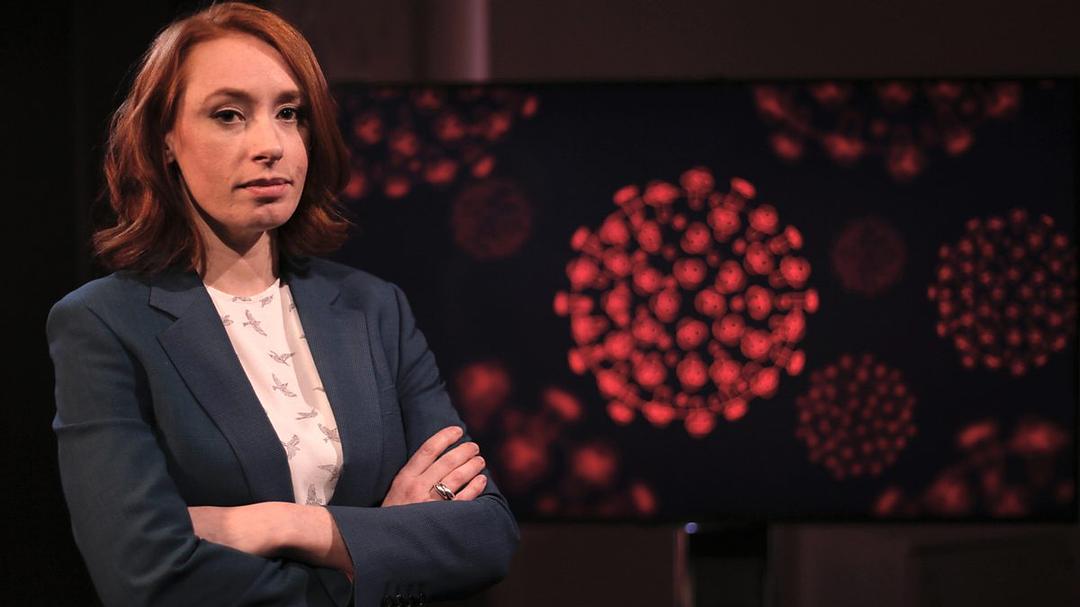 地平线系列:冠状病毒特别节目 Horizon: Coronavirus Special