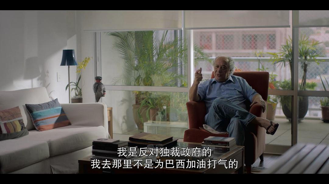 球王贝利:巴西足球传奇 Pelé