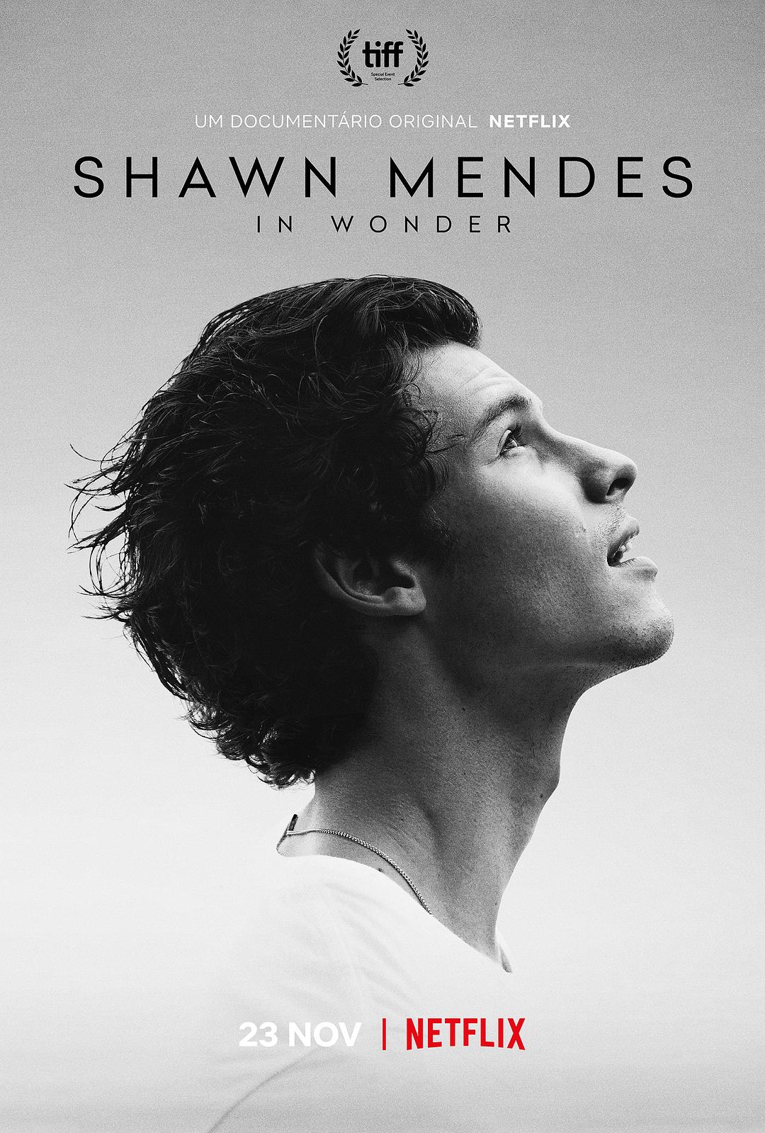 肖恩·门德斯:一路走来 Shawn Mendes: In Wonder