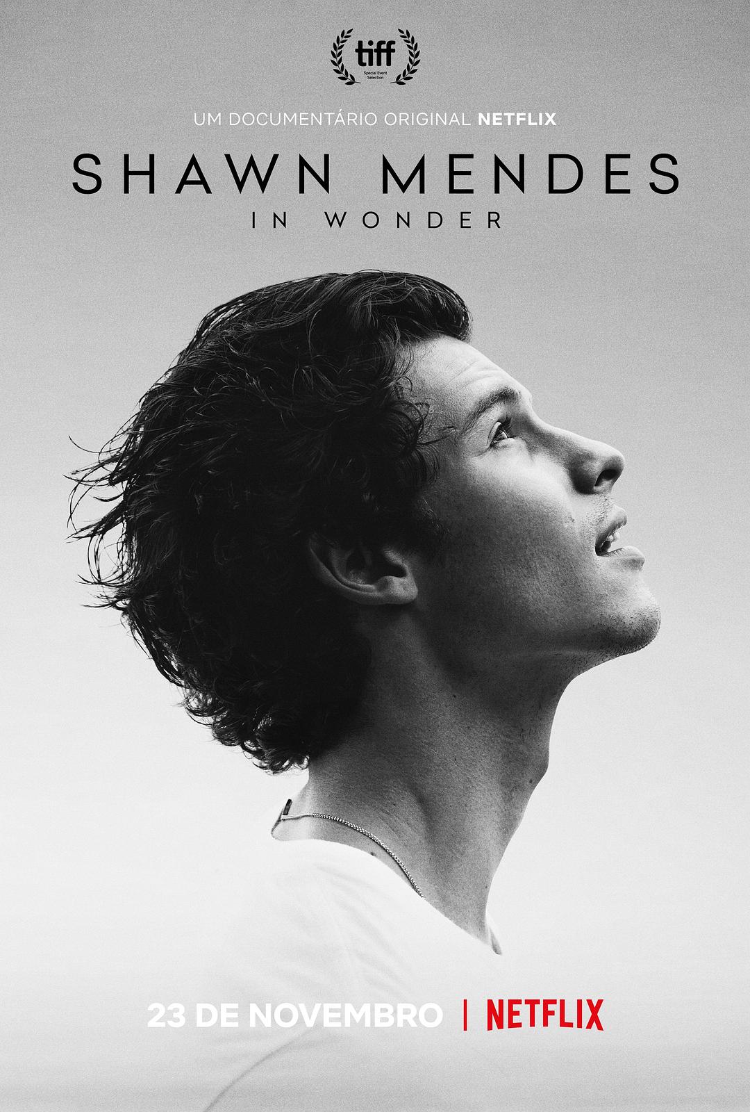 肖恩·门德斯:一路走来 Shawn Mendes: In Wonder