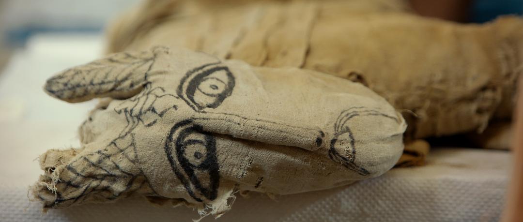 塞加拉陵墓揭秘 Secrets of the Saqqara Tomb