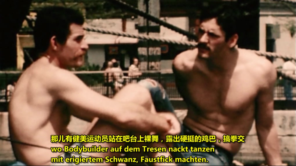 我美妙的西柏林 Mein wunderbares West-Berlin