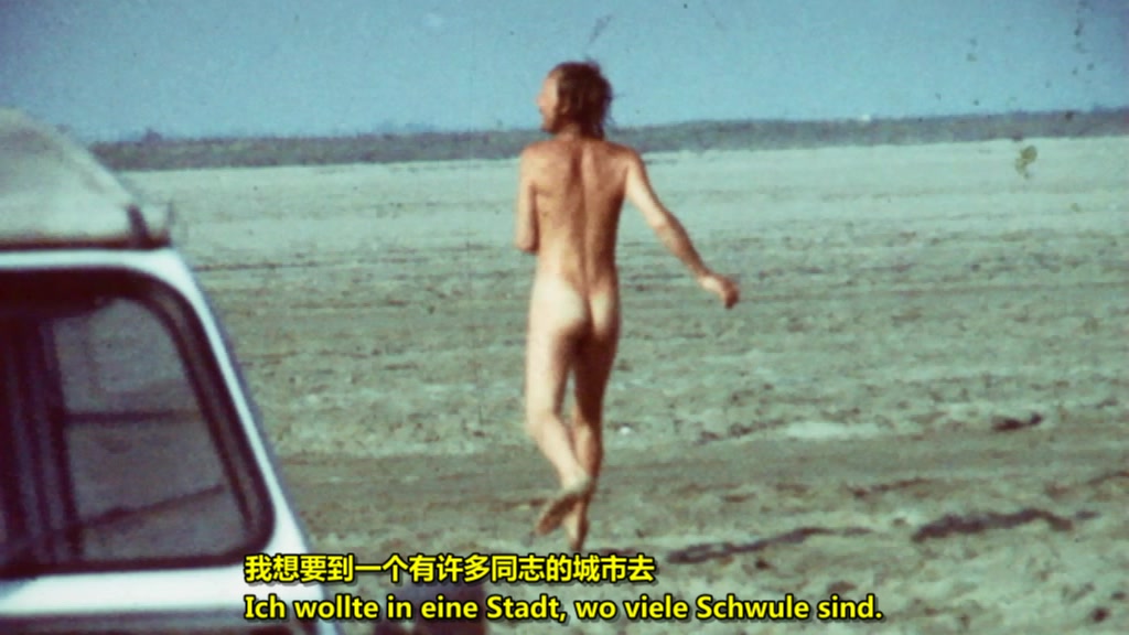 我美妙的西柏林 Mein wunderbares West-Berlin