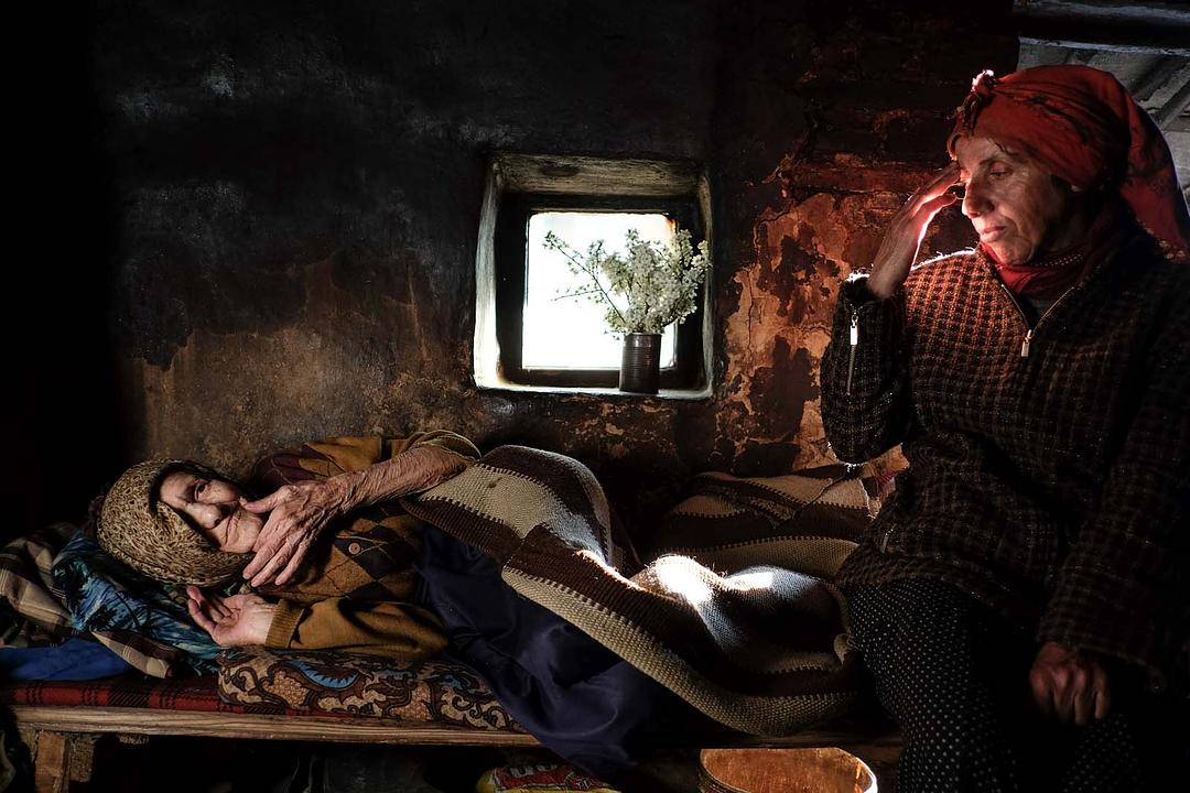 蜂蜜之地 Медена земја