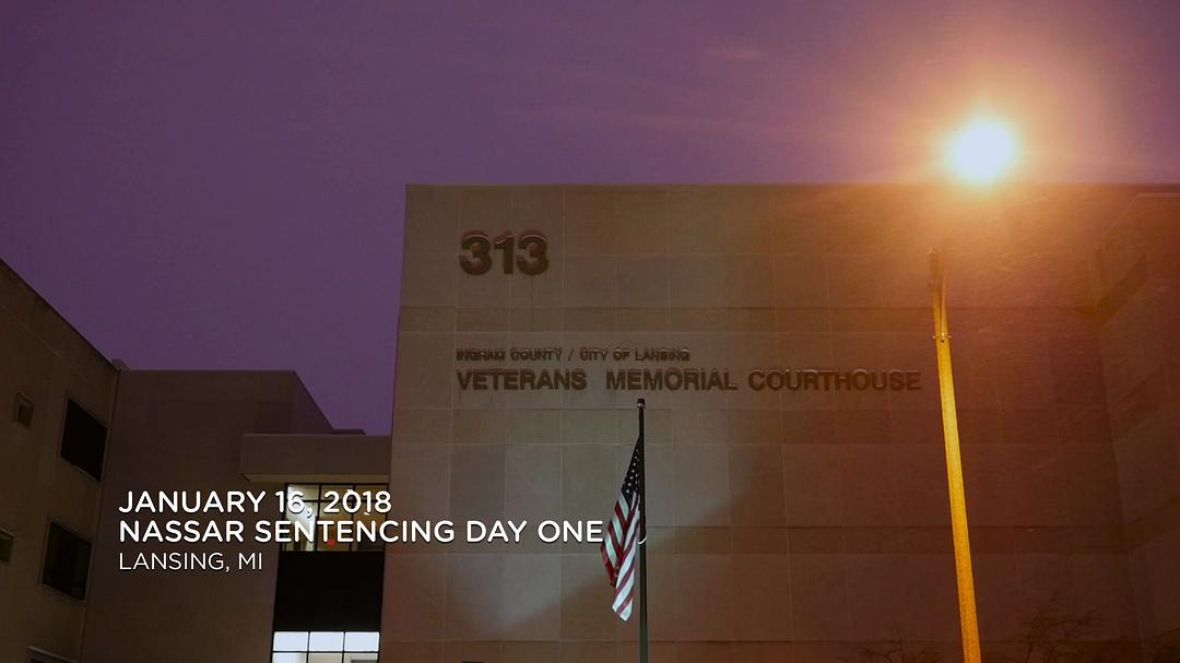 在金牌的核心:美国体操丑闻 At the Heart of Gold: Inside the USA Gymnastics Scandal