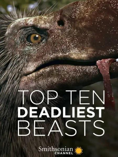 十大致命的捕食者 Top Ten Deadliest Beasts