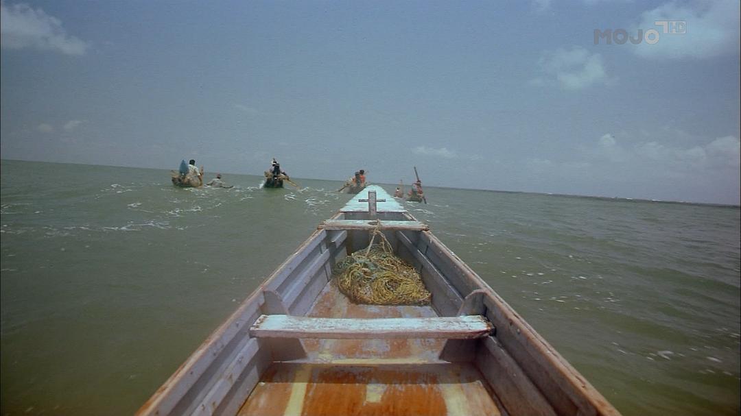 印度:老虎王国 India: Kingdom of the Tiger