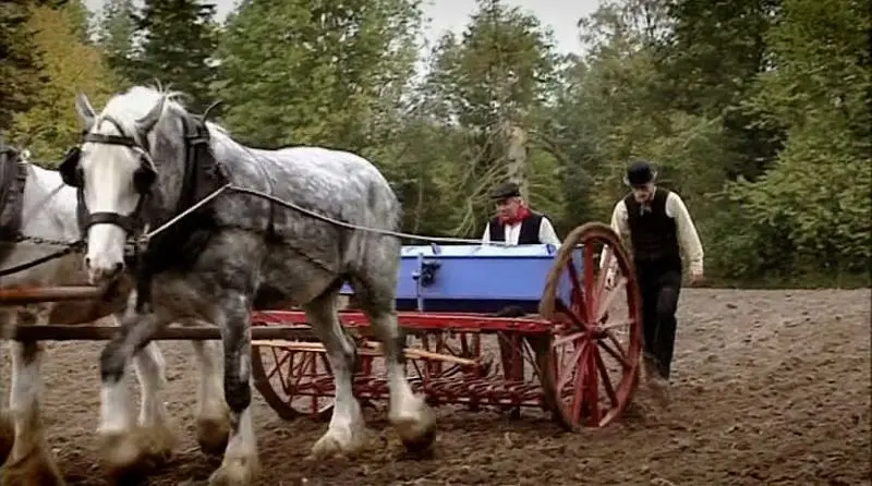 维多利亚时期的农场 Victorian Farm