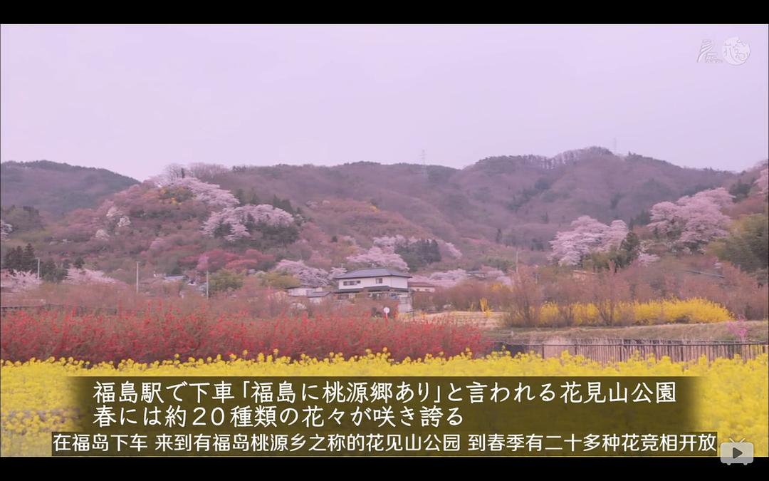 日本不思议铁路之旅 ニッポンぶらり鉄道旅