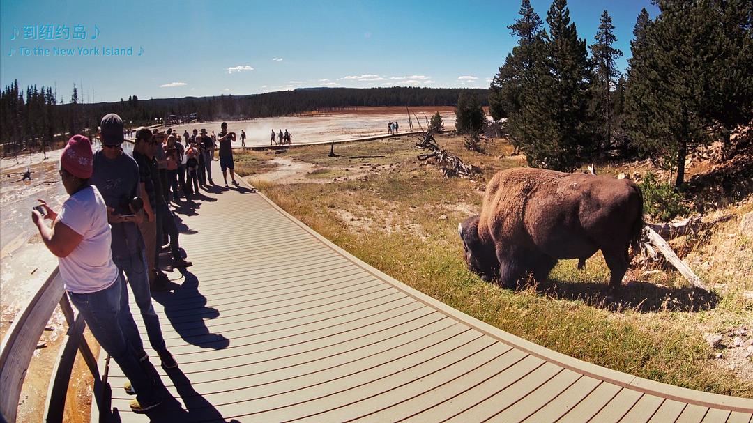 狂野之美:国家公园探险 National Parks Adventure