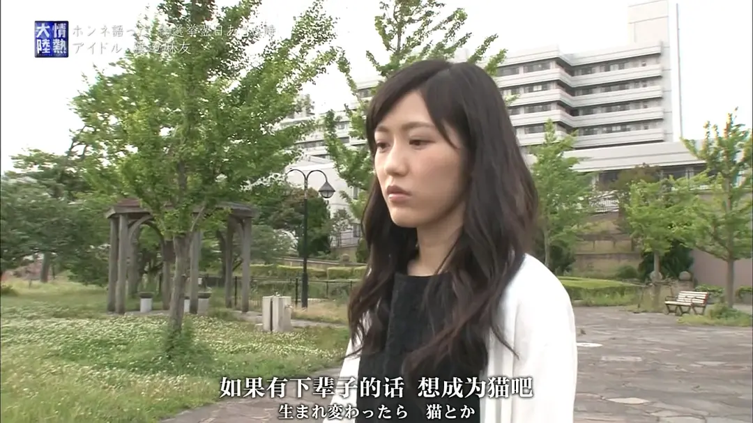 情热大陆 渡边麻友篇 情熱大陸 渡辺麻友編