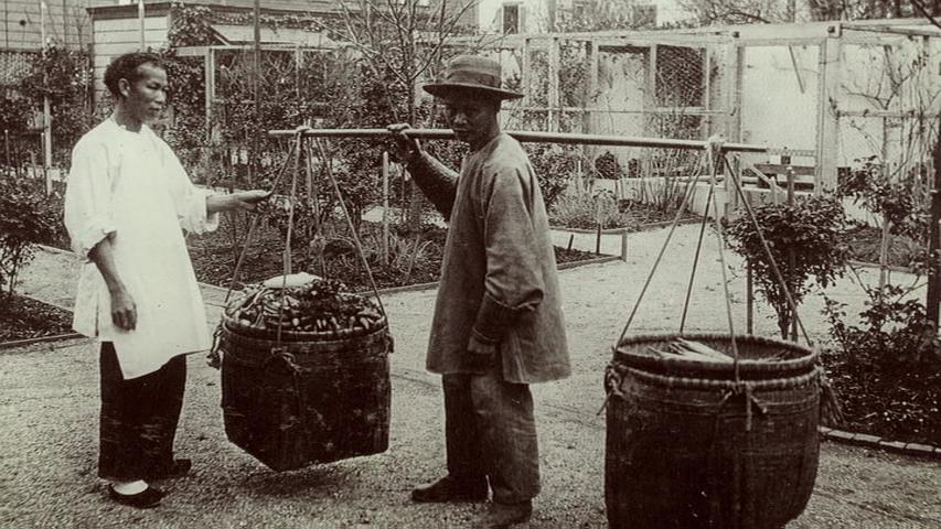 排华法案 The Chinese Exclusion Act