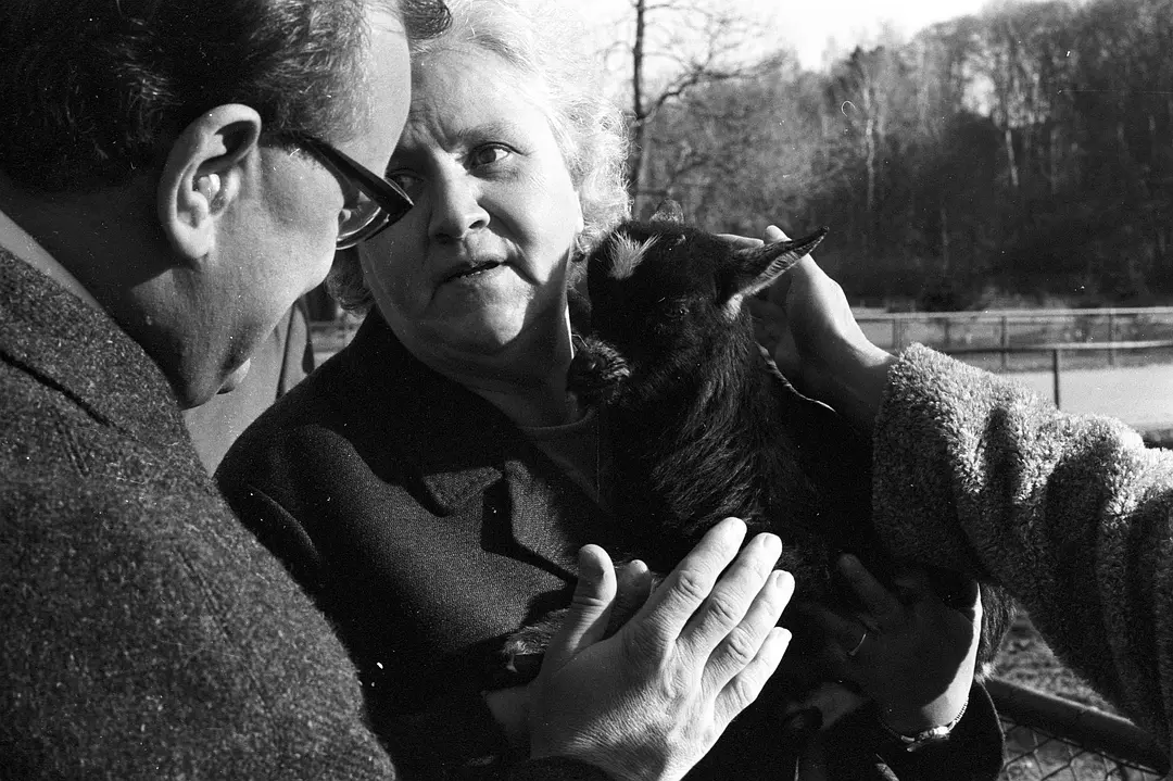 沉默与黑暗的世界 Land des Schweigens und der Dunkelheit