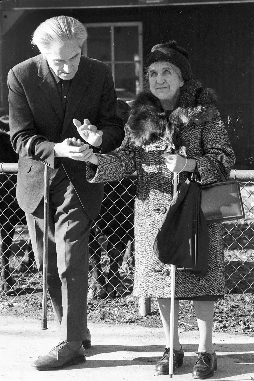 沉默与黑暗的世界 Land des Schweigens und der Dunkelheit