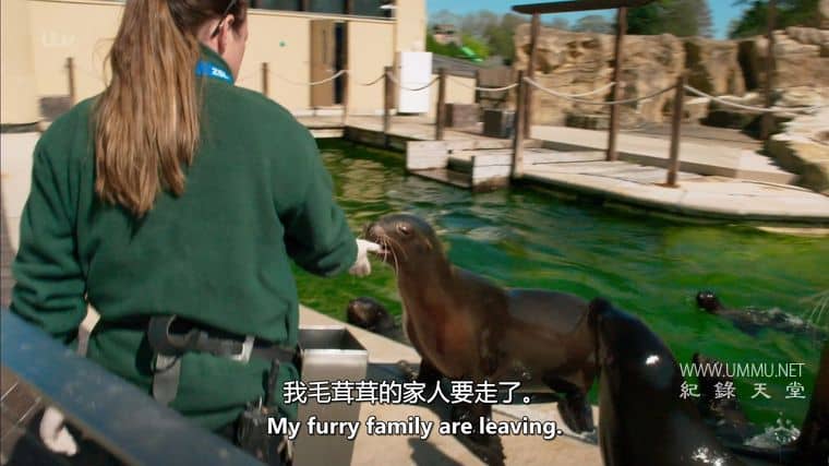 伦敦动物园:非凡的一年 London Zoo: An Extraordinary Year