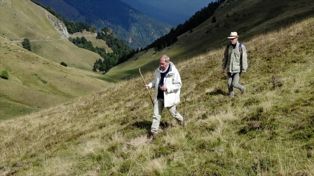 走进纳米世界 Nanosurvies, les pouvoirs invisibles de la nature