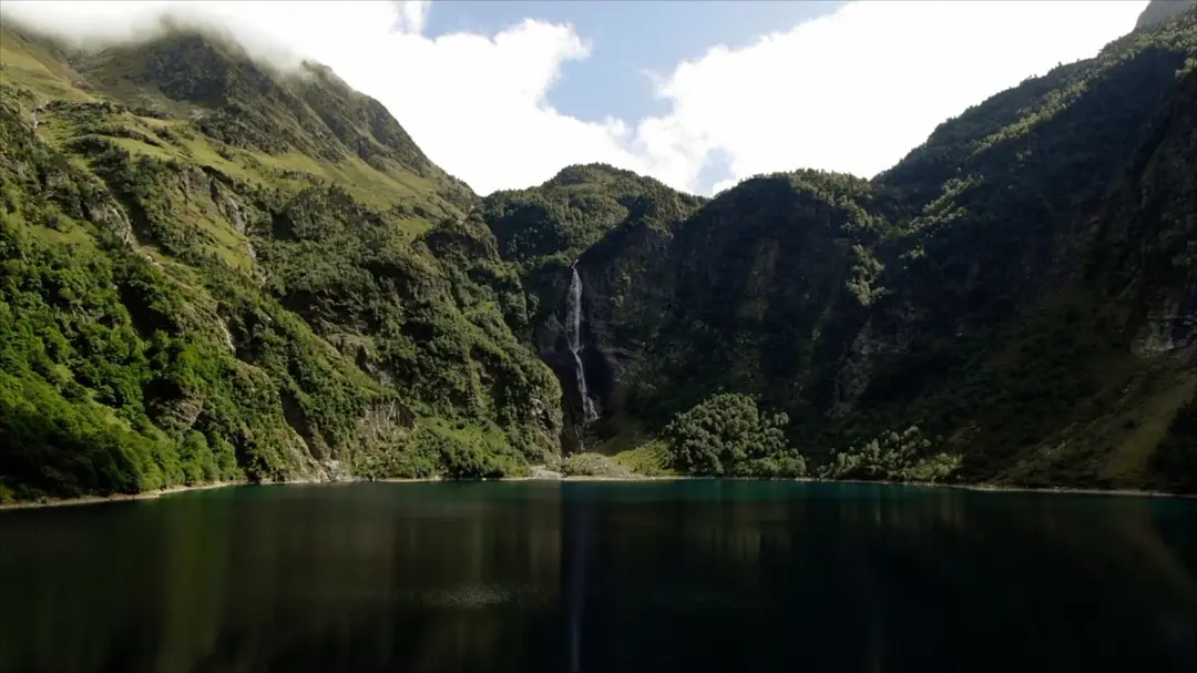 走进纳米世界 Nanosurvies, les pouvoirs invisibles de la nature