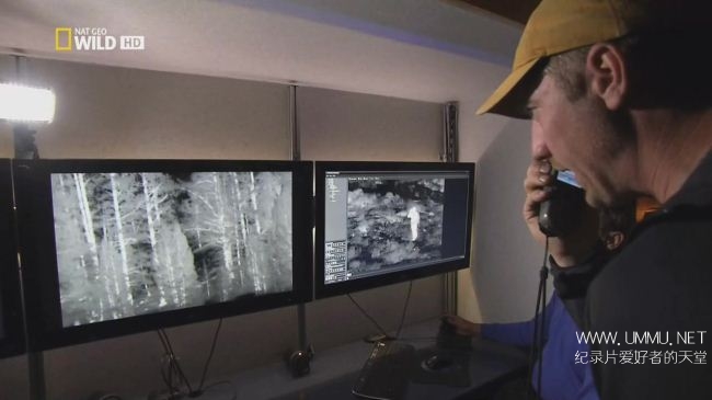 荒野远征:灰熊之夜+巨狼+美国吸血蝙蝠 America The Wild: Night of The Grizzly