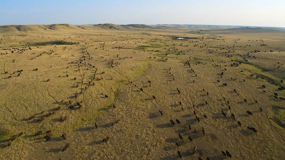 美丽美利坚 America the Beautiful