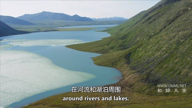 美国北极 American Arctic