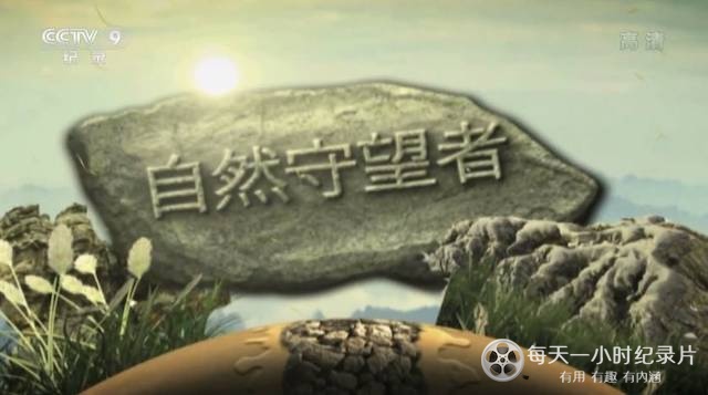 自然守望者 第3季 全5集