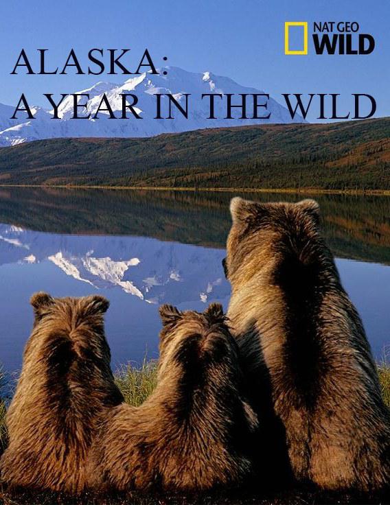 阿拉斯加:荒野年轮 第一季 Alaska: A Year in the Wild Season 1
