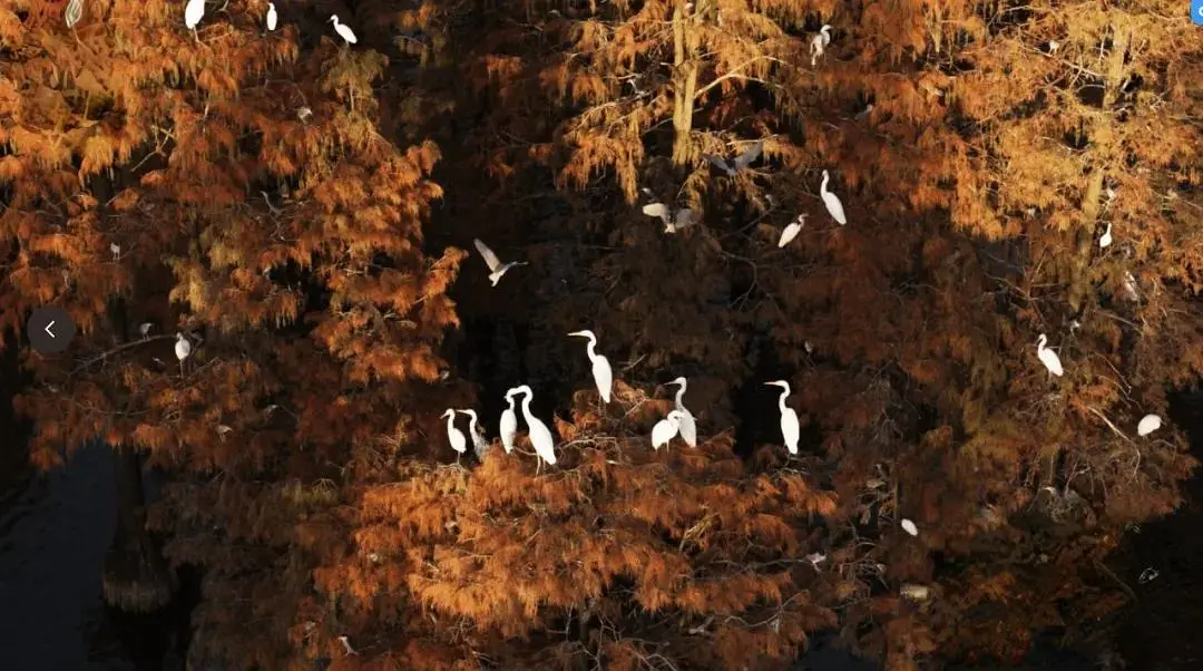 航拍中国 第四季 Aerial China