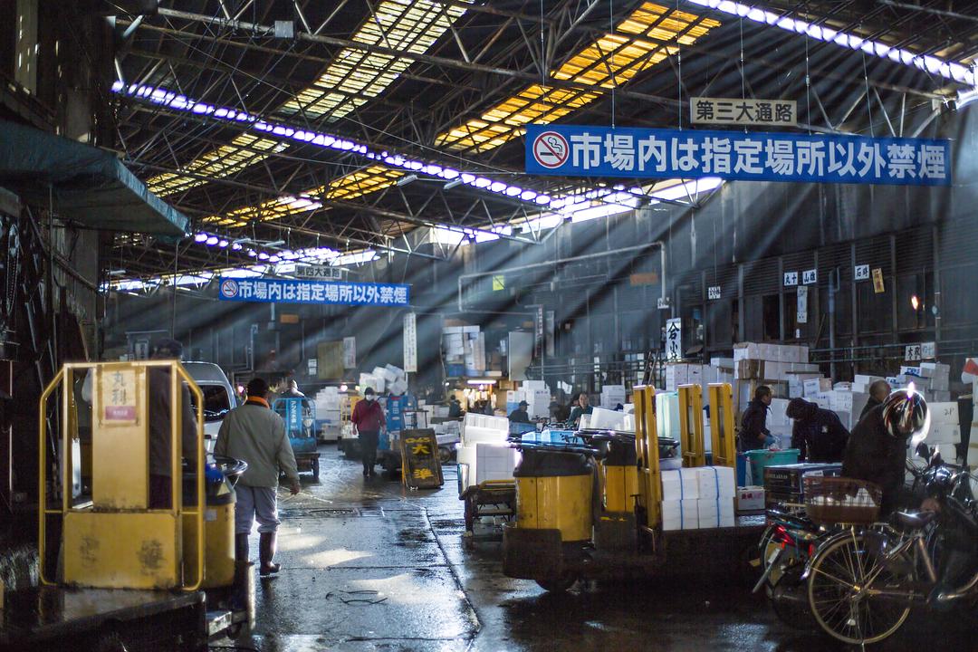 筑地仙境 築地ワンダーランド