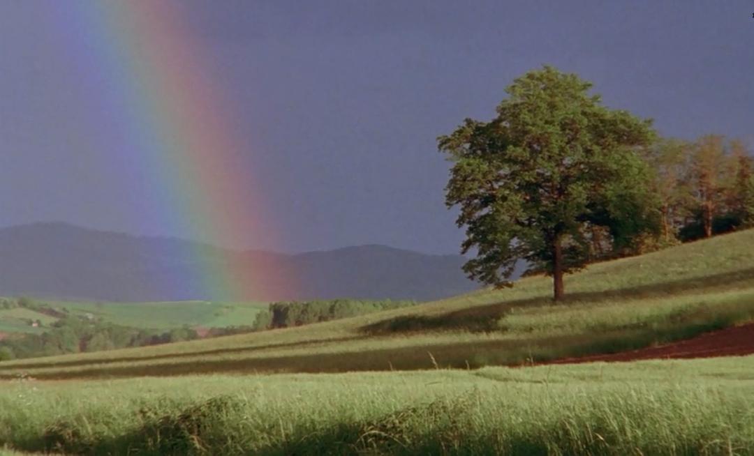 山村犹有读书声 Être et avoir