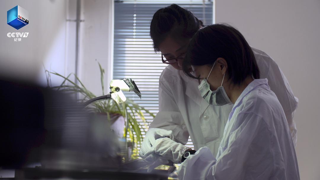 光影传奇插图8 光影传奇