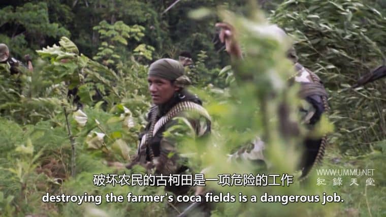 可卡因之王:联合国输掉毒品战争 King of Cocaland – UN Losing War on Drugs插图1 可卡因之王:联合国输掉毒品战争 King of Cocaland – UN Losing War on Drugs