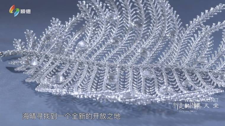 行走的图腾 The Walking Totem插图5 行走的图腾 The Walking Totem