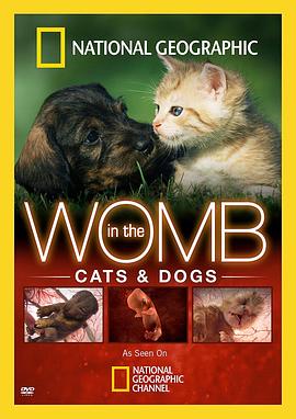 子宫日记:动物篇 Animals in the Womb插图 子宫日记:动物篇 Animals in the Womb