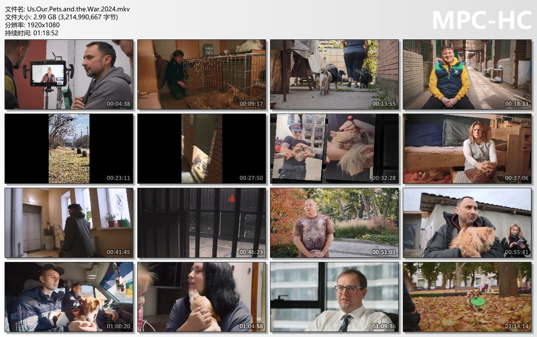 带着宠物躲战乱 Ми, наші улюбленці та війна插图1 带着宠物躲战乱 Ми, наші улюбленці та війна