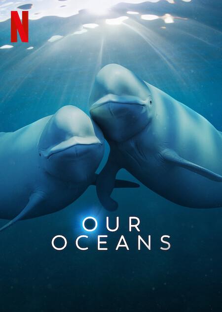 我们的海洋 Our Oceans插图3 我们的海洋 Our Oceans