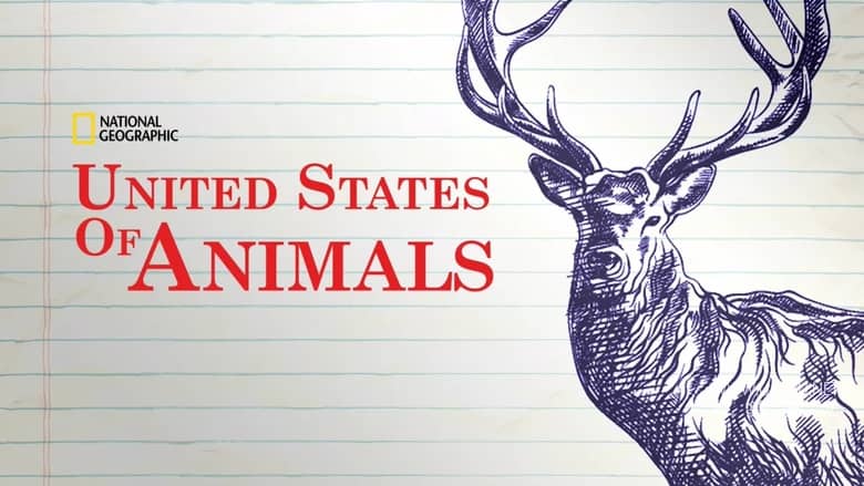 美国动物百科 United States of Animals插图 美国动物百科 United States of Animals