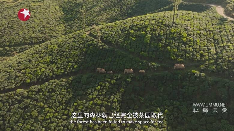 亚洲 2024 Asia 2024插图3 亚洲 2024 Asia 2024