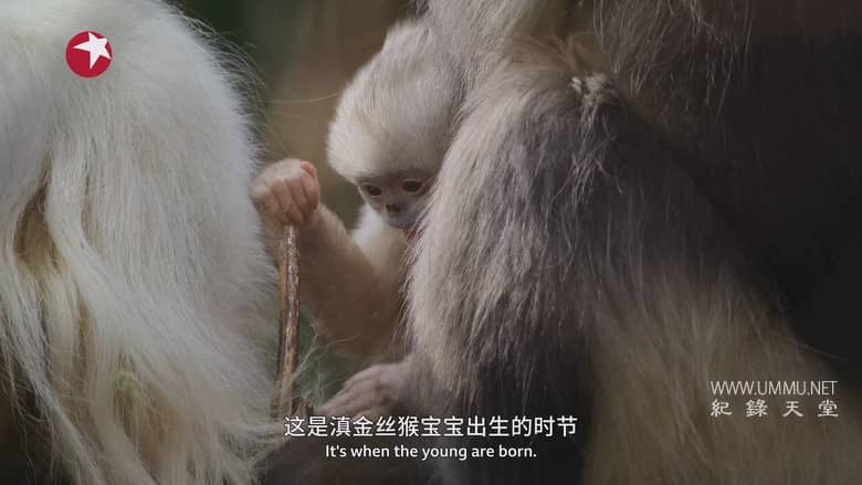 亚洲 2024 Asia 2024插图4 亚洲 2024 Asia 2024