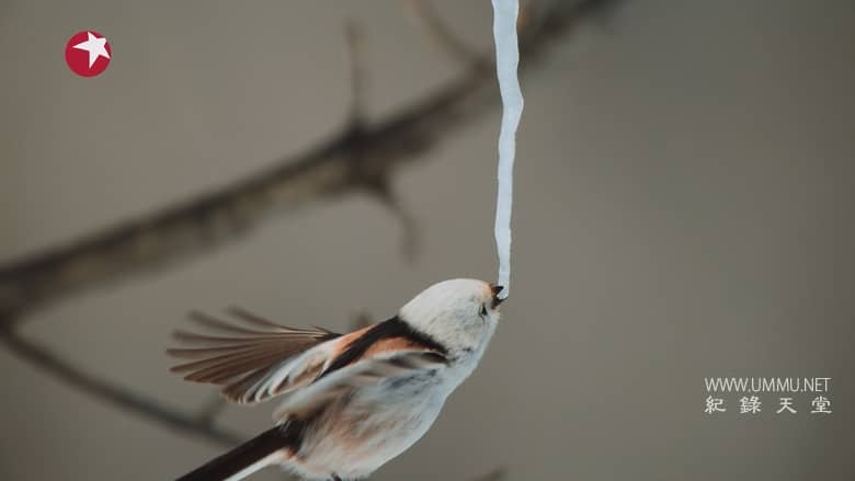 亚洲 2024 Asia 2024插图5 亚洲 2024 Asia 2024