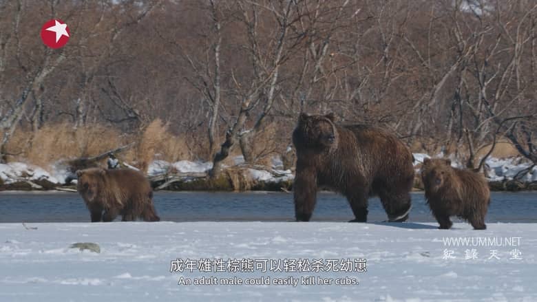 亚洲 2024 Asia 2024插图6 亚洲 2024 Asia 2024