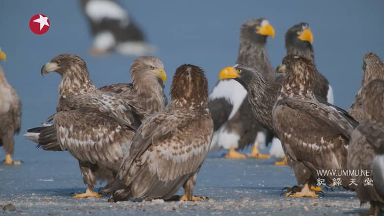 亚洲 2024 Asia 2024插图7 亚洲 2024 Asia 2024