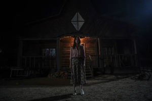 恐怖电影《一个经典的恐怖故事》恐怖惊悚电影影视解说自媒体素材文案/片源下载插图 恐怖电影《一个经典的恐怖故事》恐怖惊悚电影影视解说自媒体素材文案/片源下载