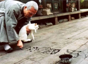 剧情电影《春夏秋冬又一春》恐怖惊悚电影影视解说自媒体素材文案/片源下载插图 剧情电影《春夏秋冬又一春》恐怖惊悚电影影视解说自媒体素材文案/片源下载