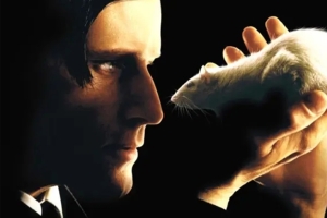 惊悚电影《驭鼠怪人》恐怖惊悚电影影视解说自媒体素材文案/片源下载插图 惊悚电影《驭鼠怪人》恐怖惊悚电影影视解说自媒体素材文案/片源下载